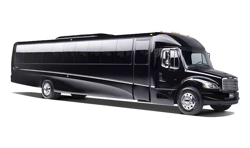 Mini Coach Bus